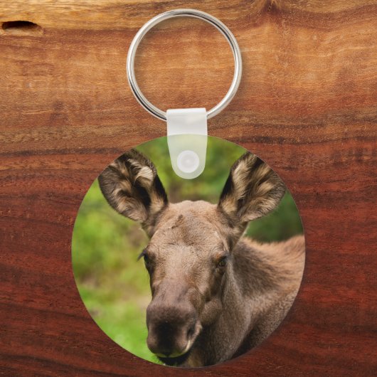 Porte-clés Curieux orignal (Recto)