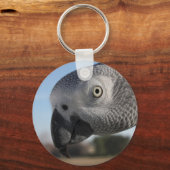 Porte-clés Curieux perroquet gris du Congo (Recto)