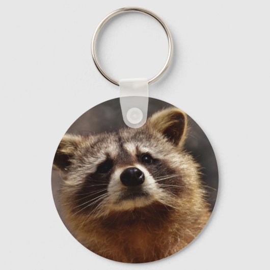 Porte-clés Curieux Raccoon (Recto)