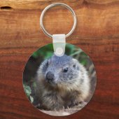 Porte-clés Curious bébé Marmot Keyring (Recto)