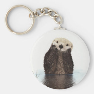Cadeaux Loutre Zazzle Be