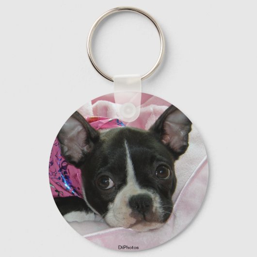 Porte-clés Cute Boston Terrier Puppy (Recto)