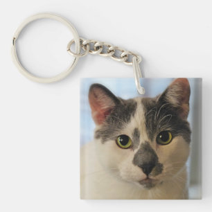 Porte-clés Cute chat