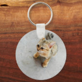 Porte-clés Cute chaton chaton sauvage (Recto)