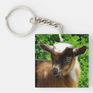 Porte-clés Cute chèvre laitière naine nigériane enfant