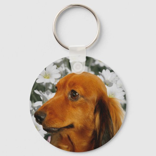 Porte-clés Cute Dachshund (Brown Long Haired) en Fleurs (Recto)