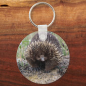 Porte-clés Cute Echidna from Australia (Recto)