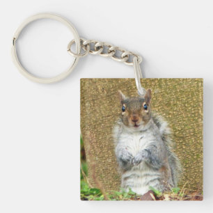 Porte-clés Cute écureuil