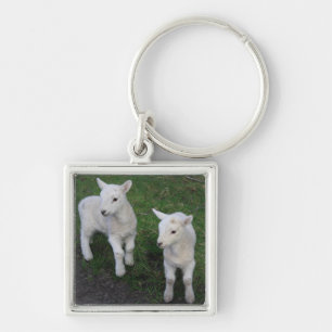 Porte-clés Cute Farm Ranch Baby Twins Sheep Lamb