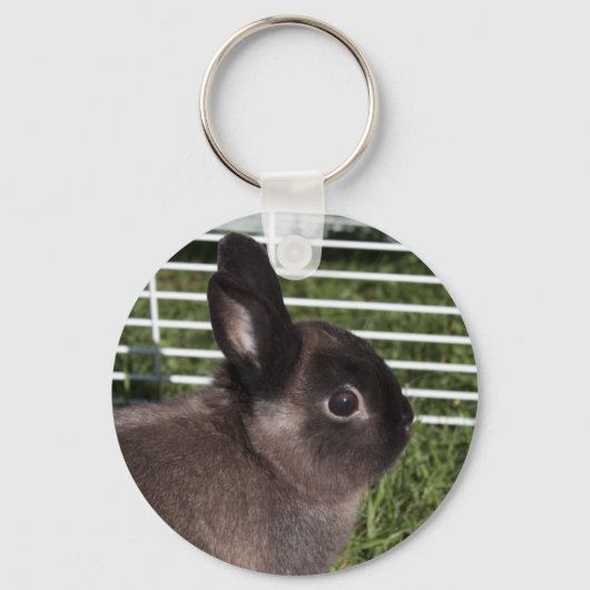Porte-clés Cute lapin noir sur herbes vertes (Recto)