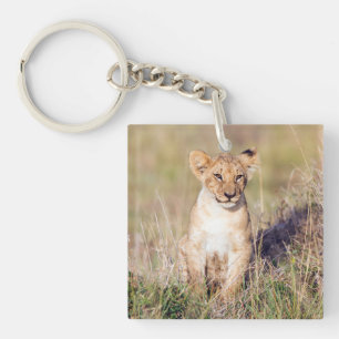 Porte-clés Cute lionceau en Afrique photo