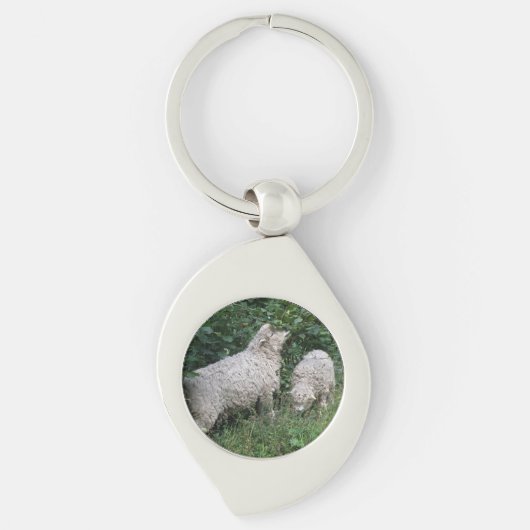 Porte-clés Cute Mange Feuille Porte - clé (Devant)