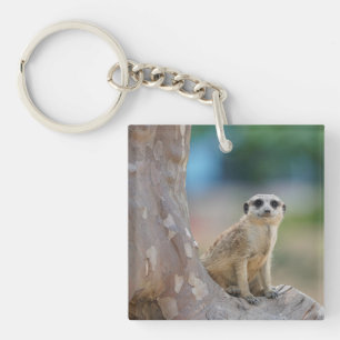 Porte-clés Cute Meerkat Sat sur arbre