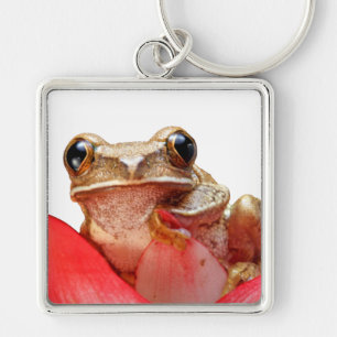 Porte-clés Cute Petite Brown grenouille rousse marbrée Fleur 