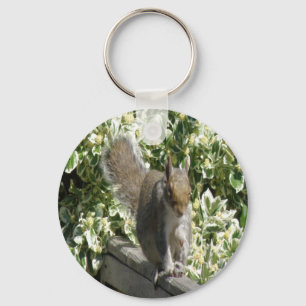 Porte-clés Cute Porte - clé écureuil