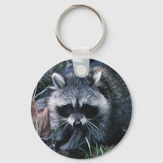 Porte-clés Cute Raccoon (Recto)