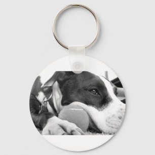 Porte-clés cute sad looking pitbull dog black white with ball