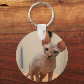 Porte-clés Cute sphynx kitten "Je suis sans colère, n'est-ce (Recto)