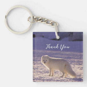 Porte-clés Cute White Arctic Fox neige hiver Photographie