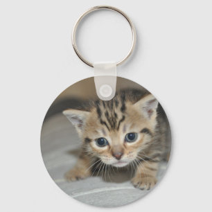 Porte-clés Cute Young Kitten