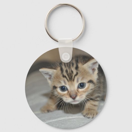 Porte-clés Cute Young Kitten (Recto)
