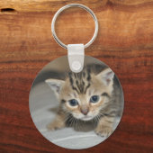 Porte-clés Cute Young Kitten (Recto)