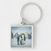 Porte-clés Cutest Baby Animals | Baby Penguin Feeding (Devant)