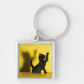 Porte-clés Cutest Baby Animals | Black Cat Playing (Devant)