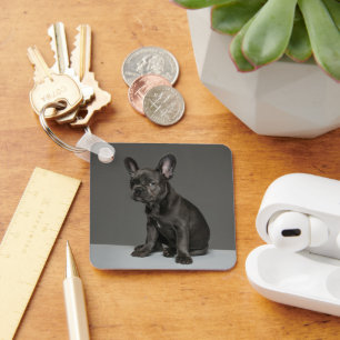 Porte-clés Cutest Baby Animals   Blue French Bulldog Puppy