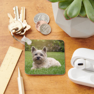 Porte-clés Cutest Baby Animals   Cairn Terrier Dog