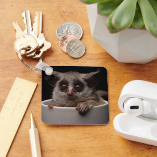 Porte-clés Cutest Baby Animals   Cute Bushbaby