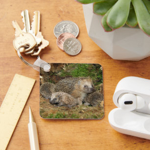 Porte-clés Cutest Baby Animals Hedgehog Family