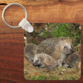 Porte-clés Cutest Baby Animals | Hedgehog Family (Recto)