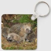 Porte-clés Cutest Baby Animals | Hedgehog Family (Dos)