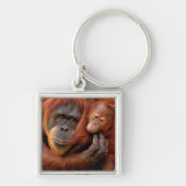 Porte-clés Cutest Baby Animals | Orangutan Mom & Baby (Devant)