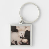 Porte-clés Cutest Baby Animals | Pile of Puppies (Devant)