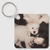 Porte-clés Cutest Baby Animals | Pile of Puppies (Recto)
