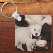 Porte-clés Cutest Baby Animals | Pile of Puppies (Recto)
