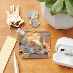 Porte-clés Cutest Baby Animals   Shy Corgi