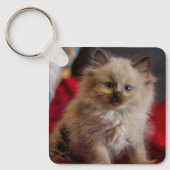 Porte-clés Cutest Baby Animals | Siamese Kitten (Recto)