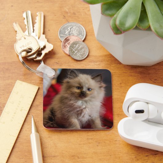 Porte-clés Cutest Baby Animals | Siamese Kitten (Bureau)