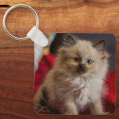 Porte-clés Cutest Baby Animals | Siamese Kitten (Recto)