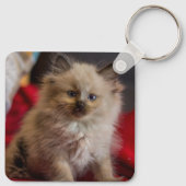 Porte-clés Cutest Baby Animals | Siamese Kitten (Dos)