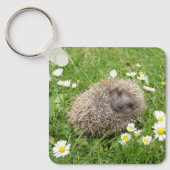 Porte-clés Cutest Baby Animals | Spanish Hedgehog (Recto)