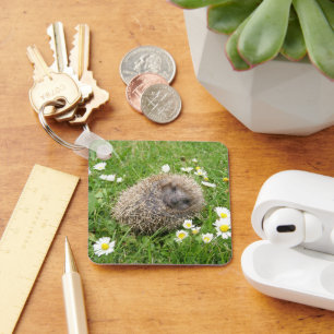 Porte-clés Cutest Baby Animals   Spanish Hedgehog