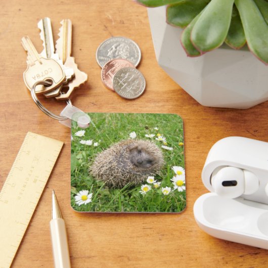 Porte-clés Cutest Baby Animals | Spanish Hedgehog (Bureau)