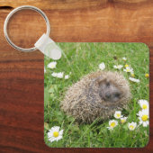 Porte-clés Cutest Baby Animals | Spanish Hedgehog (Recto)