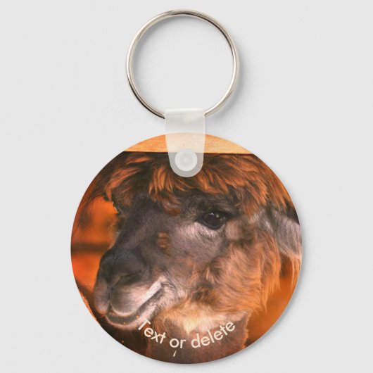 Porte-clés Cutey Llama Animal Personalized (Recto)