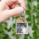 Porte-clés Cyclone tropical Laurence sur l'ouest de l'Austral (main)