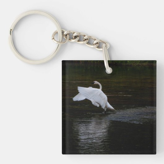 Porte-clés Cygne trompette (Devant)